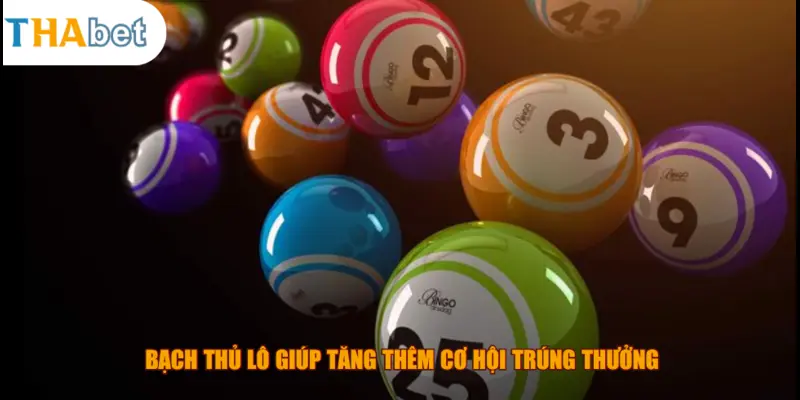 Bạch thủ lô giúp tăng thêm cơ hội trúng thưởng