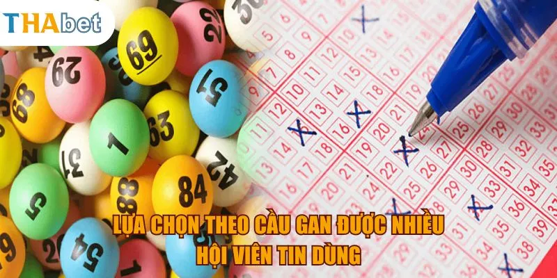 Lựa chọn theo cầu gan được nhiều hội viên tin dùng
