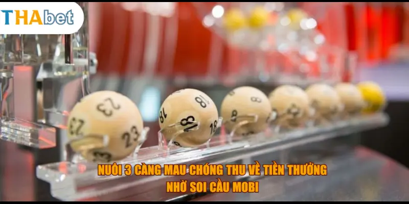 Nuôi 3 càng mau chóng thu về tiền thưởng nhờ soi cầu mobi